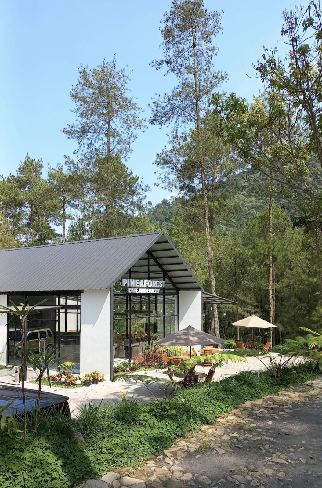 Pinea Resto & Cafe